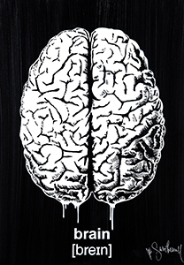 Mr Savethewall Oeuvre Brain Street Art Mr Savethewall Oeuvre Brain Street Art