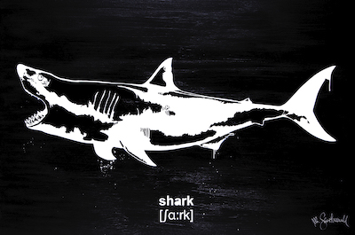 Squalo - Shark - Mr Savethewall Street Art - International Language Squalo - Shark - Mr Savethewall Street Art - International Language